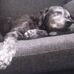 Richard Westberg - Facebook