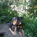 Rick Westerhoff - Facebook