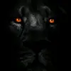 Richard Westphal - @richard.westphal7 - TikTok