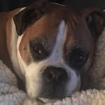 Richard Wheeling Jr - @mudd953 - Instagram