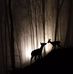 Richard Whetzel - Facebook