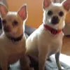Richard Whisselle - @richard.whisselle - TikTok
