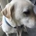 Richard Whitton - Facebook