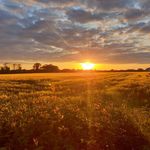 Richard Whyte - @richard.whyte.315 - Instagram