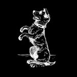 Richard Whyte pet - @richardwhytepet - Instagram