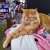 Richard Wiggers - Facebook