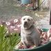 Richard Willer - Facebook