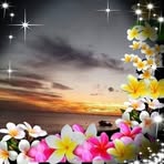 Richard Willie - Facebook