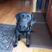 Richard Willner - Facebook