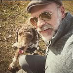 Richard Willson - @katesleticia - Instagram