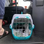 Richard willson - @richard_willson_puppies - Instagram