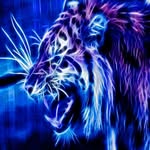 RichardWinchell - @richardwinchell_12 - Instagram