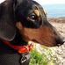 Richard Winward - Facebook