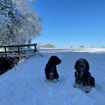 Richard Withers - @withers36 - Instagram