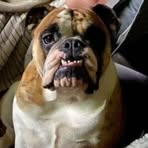 Richard Witkowski - Facebook