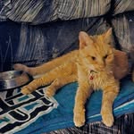 Richard Witten - @wittenrichard - Instagram