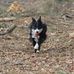 Richard Wolke - Facebook