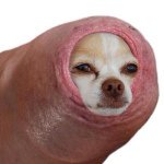 Richard The Worm - @richard_cherv - Instagram