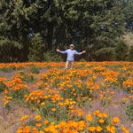Richard Wormington - @richardwormington - Instagram