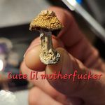 Richard Yardley - @acidsmoke182 - Instagram