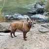 Richard Yardley - @richard.yardley8 - TikTok