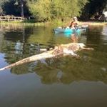Richard Yerkey - @richardyerkey - Instagram