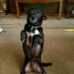 Richard Zack - @rizzac.165 - Instagram