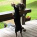 Rick Bailey - Facebook