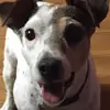 Rick Bailey - @rick.bailey1 - TikTok
