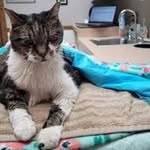 RickBeamgard - @rickbeamgard5 - Instagram