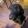 Beckham Lorick - @beckham.lorick - TikTok