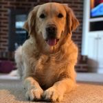 Rick Beckman - @rbeckman7 - Instagram