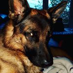 rick__berger.allemand - @rick__berger.allemand - Instagram