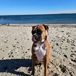 Rick Bernard - @frbernardjr - Instagram