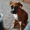 Rick Bernard - @rick.bernard - TikTok