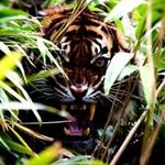 Rick Bernardi - @rickbernardi9 - Instagram