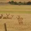 Rick Bernier - @rick.bernier4 - TikTok