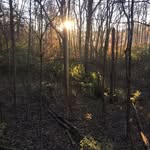 Richard Binford - @richard_binford - Instagram
