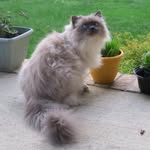 Rick Blanton - @rickb.059 - Instagram