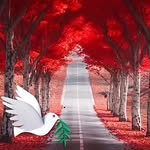 Rick Blanton - @superyankee1111 - Instagram