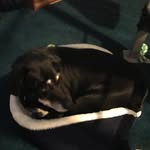 Rick Lee Boden - @rickbodenrocketmail.com8 - Instagram