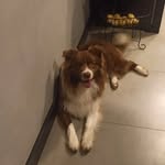 rick - @rick.boder - Instagram