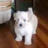 rickbolt16 - @rickbolt16 - TikTok