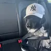 Rickbolt_ - @rickbolt_ - TikTok