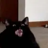 rickbolturd - @rickbolturd - TikTok