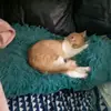 rickybonner82 - @rickybonner82 - TikTok