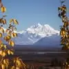Rick Bosch - @rick.bosch2 - TikTok
