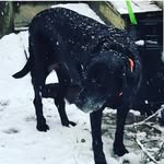 Rich Bouchard - @richbouchard6461 - Instagram