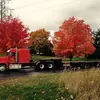 Rick Bouchard - @rickbouchard1 - TikTok