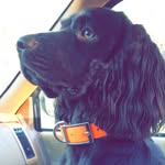 Ricky - @rickymboykin - Instagram